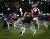 Sally and Timber run2