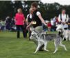 Sally and Timber run1