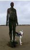 Timber and Gormley