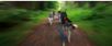 Zoom Run